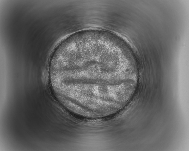 X0000095951363200802011053