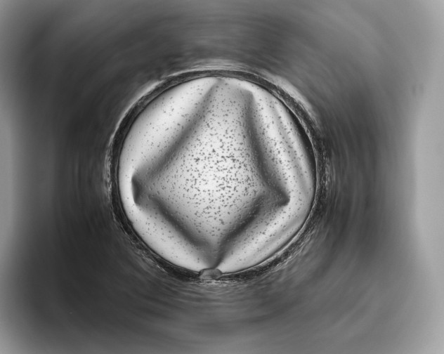 X0000095951364200802011053