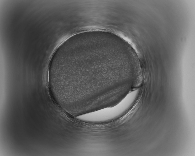 X0000095951365200802011053