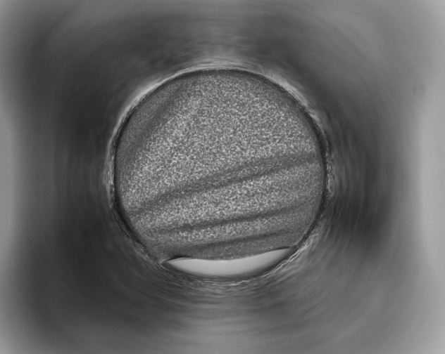 X0000095951366200802011053