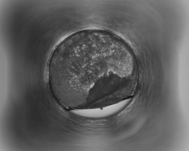 X0000095951367200802011053