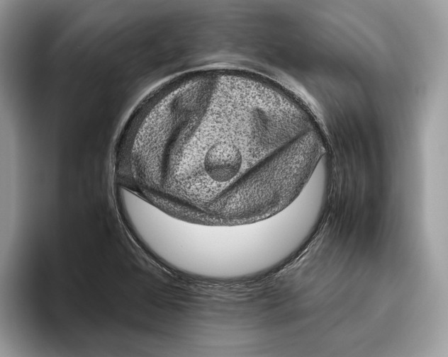 X0000095951368200802011053