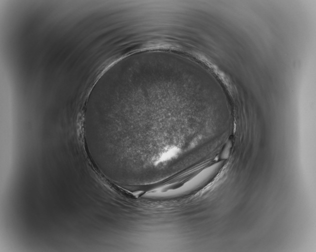 X0000095951369200802011053