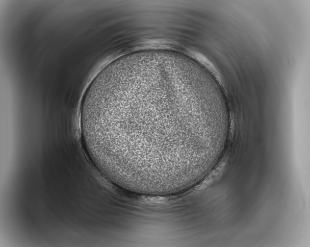 X0000095951370200802011053