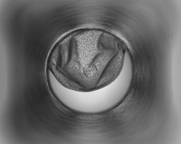 X0000095951372200802011053