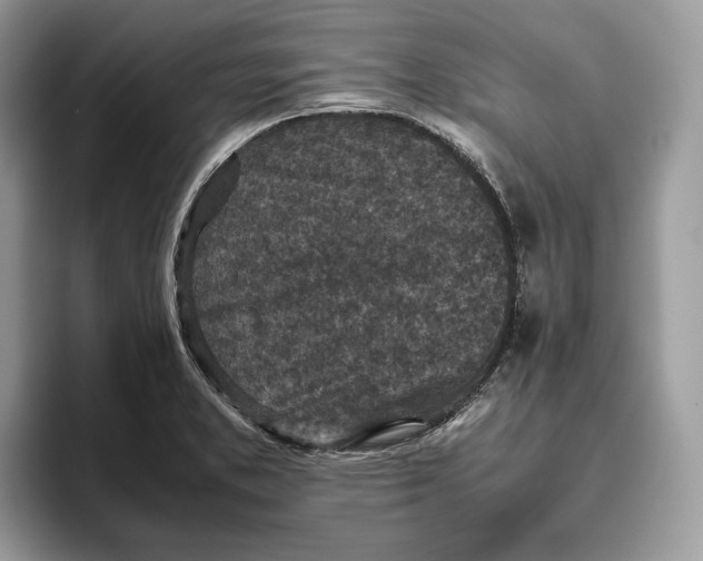 X0000095951373200802011053