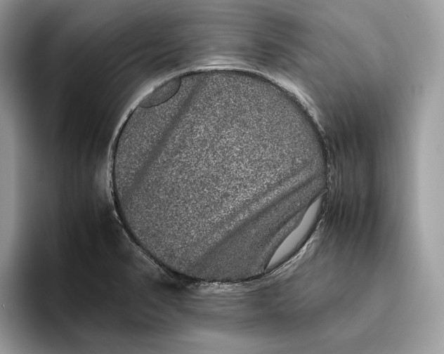 X0000095951374200802011053