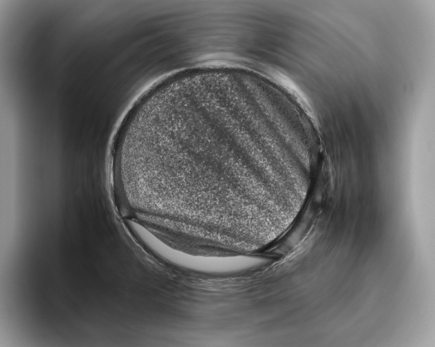 X0000095951376200802011053