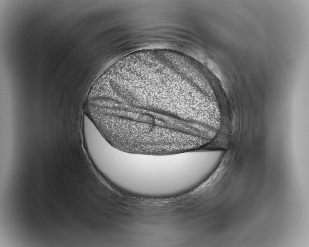 X0000095951377200802011053