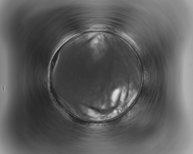 X0000095951378200802011053