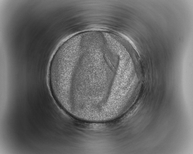 X0000095951379200802011053