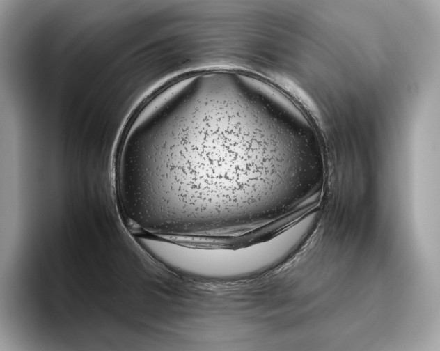 X0000095951380200802011053