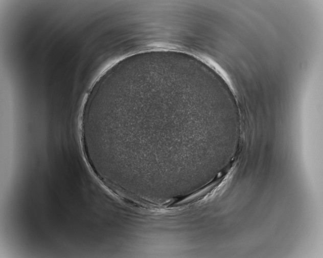 X0000095951381200802011053