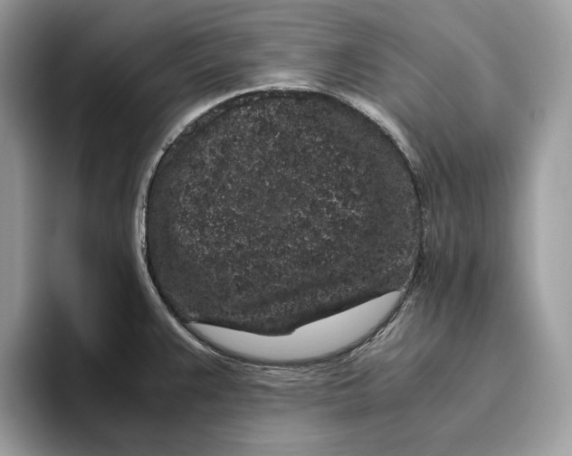 X0000095951383200802011053