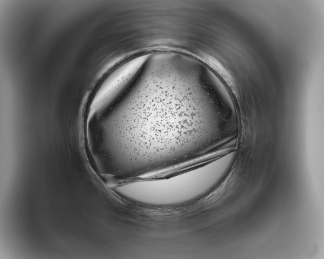 X0000095951384200802011053