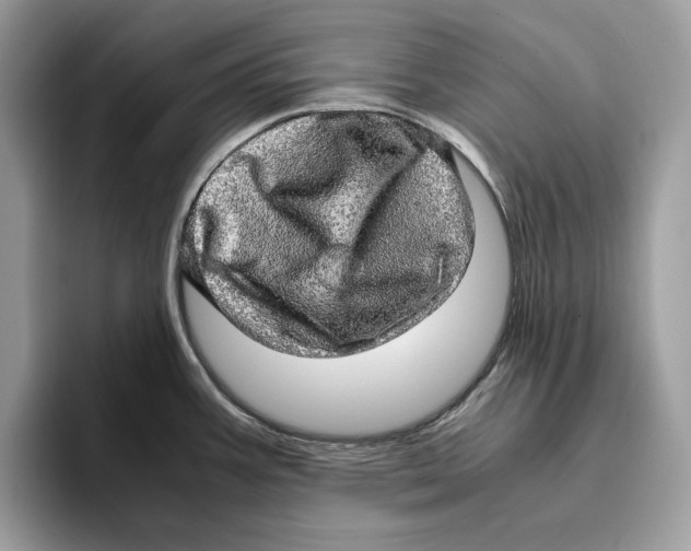 X0000095951387200802011053