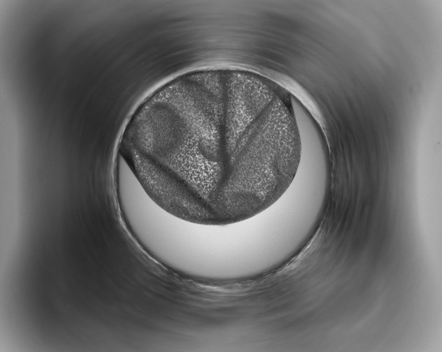 X0000095951388200802011053