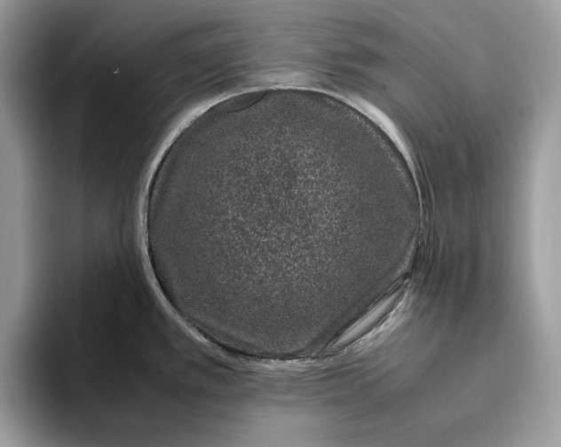 X0000095951389200802011053