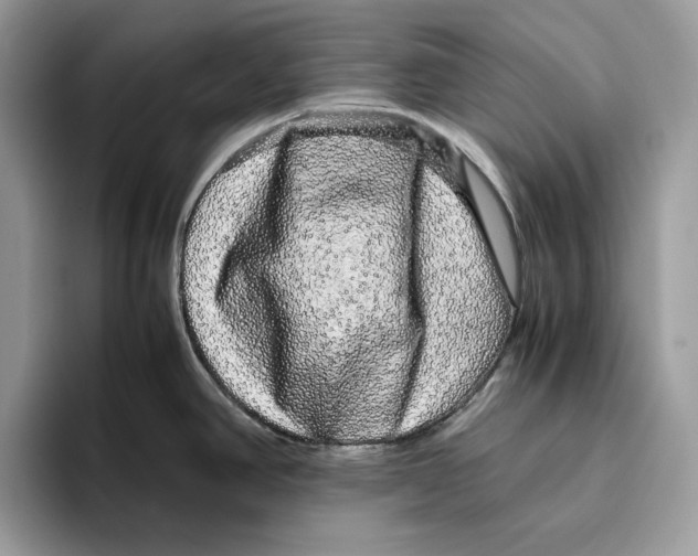 X0000095951390200802011053