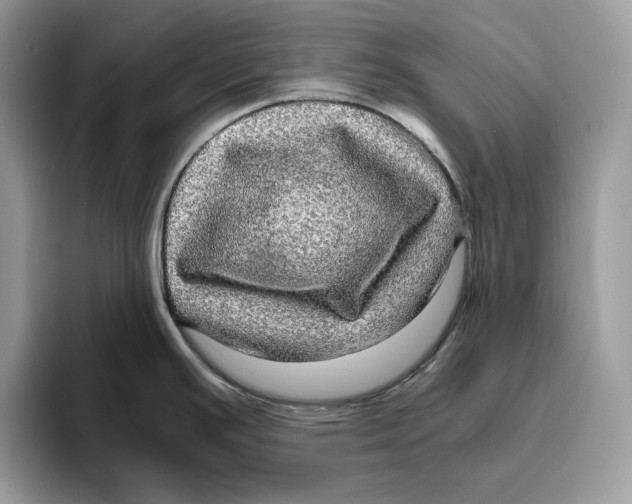 X0000095951391200802011053