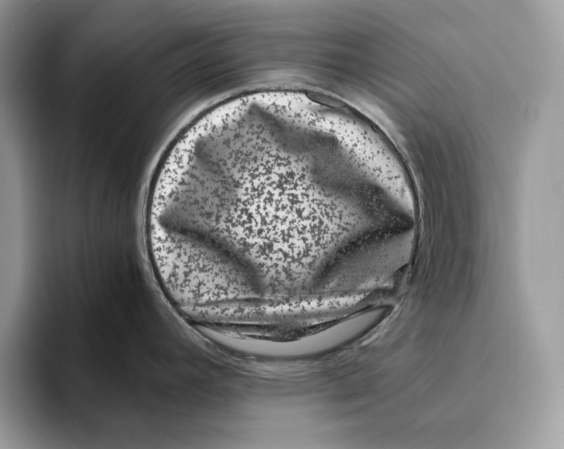 X0000095951392200802011053