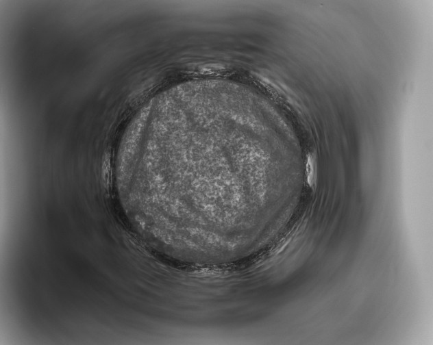 X0000095951395200802011052