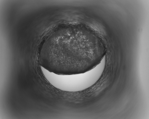 X0000095951397200802011052