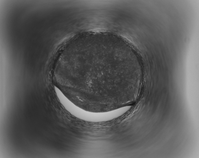 X0000095951398200802011052