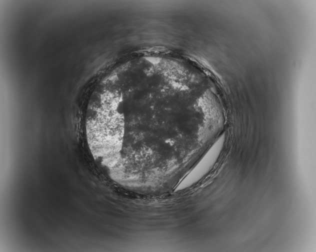 X0000095951399200802011052