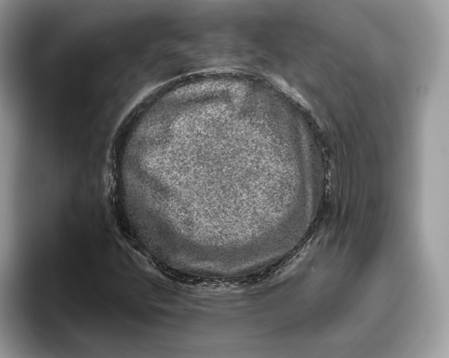 X0000095951400200802011052