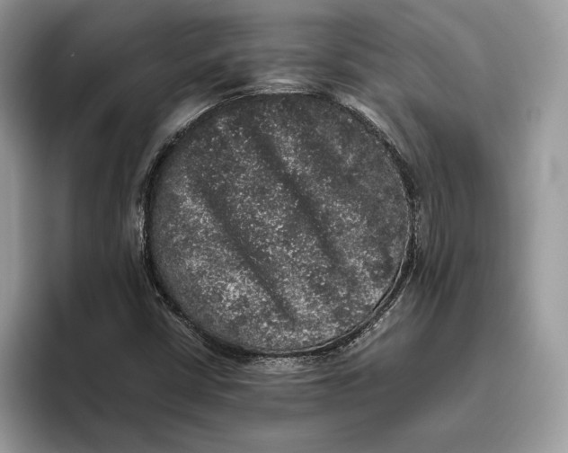 X0000095951402200802011052