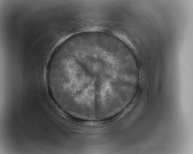 X0000095951404200802011052