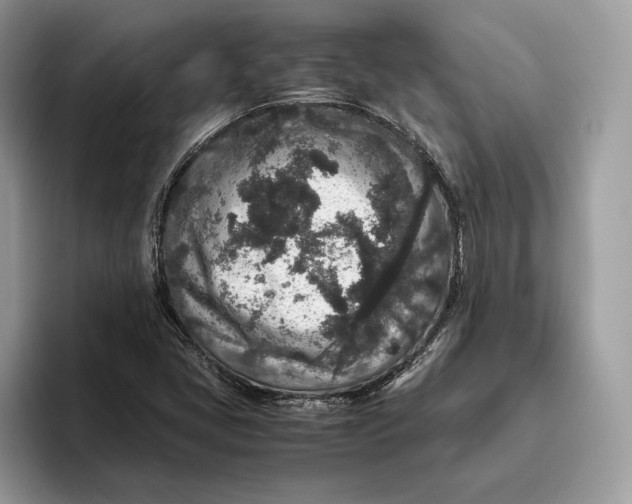 X0000095951405200802011052