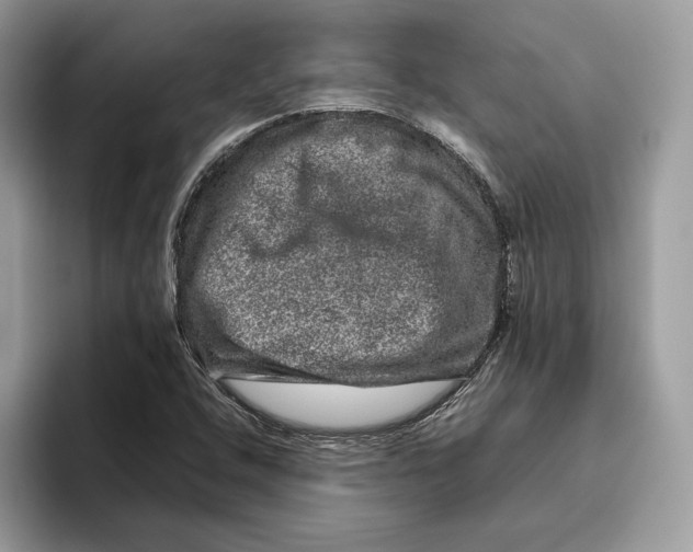 X0000095951408200802011052