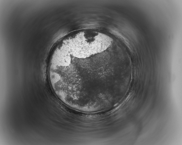 X0000095951411200802011052