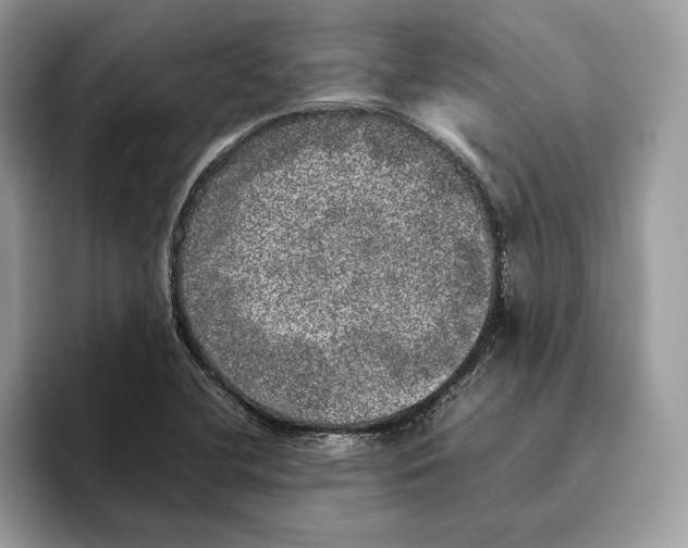 X0000095951412200802011052