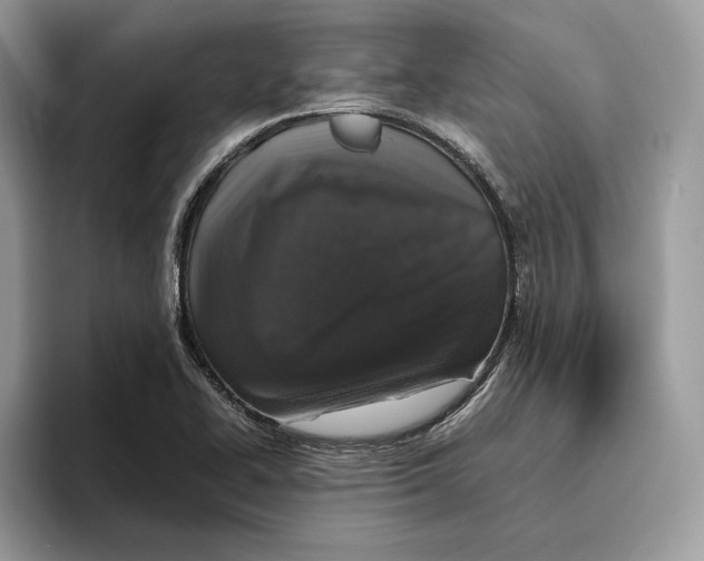 X0000095951414200802011052