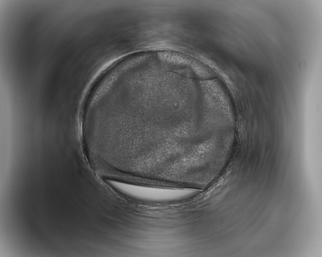 X0000095951416200802011052