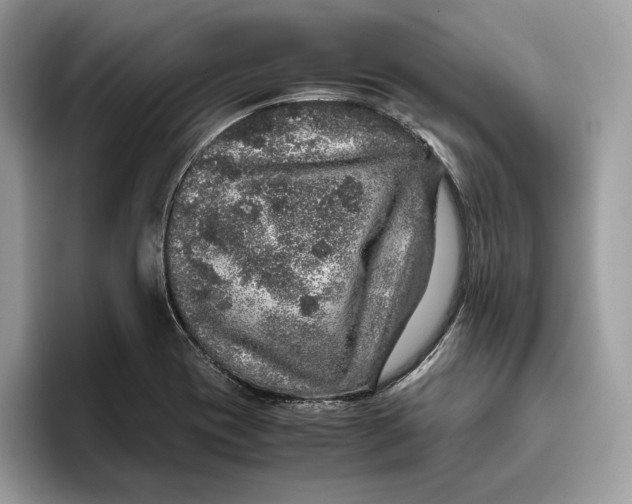 X0000095951417200802011052