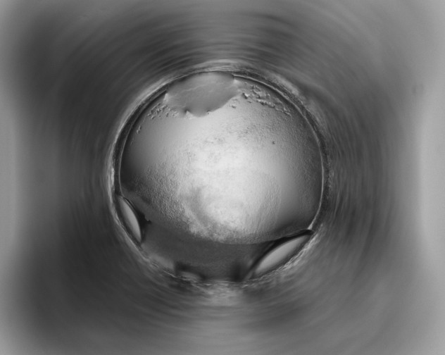 X0000095951418200802011052