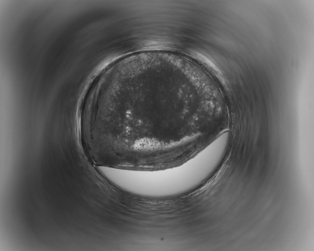 X0000095951419200802011052