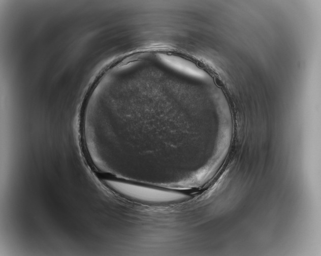 X0000095951422200802011052