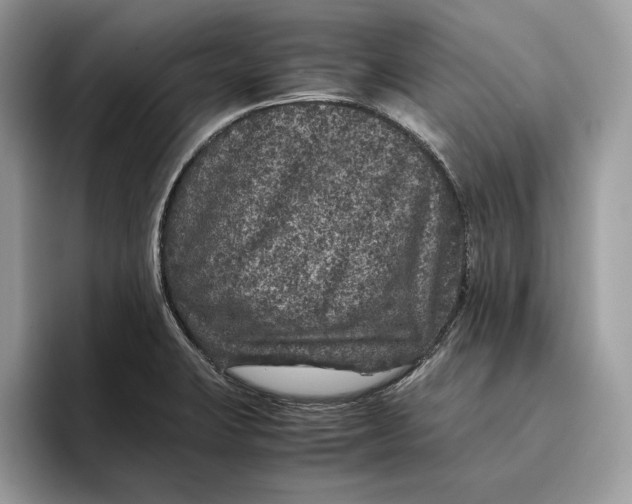 X0000095951423200802011052