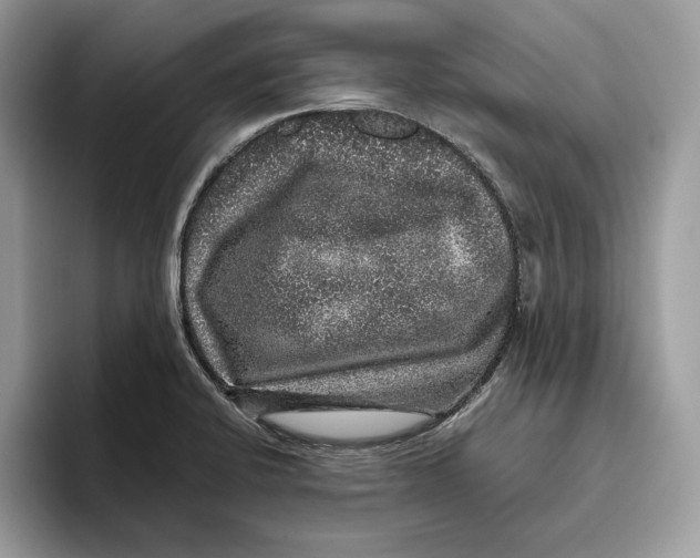 X0000095951424200802011052