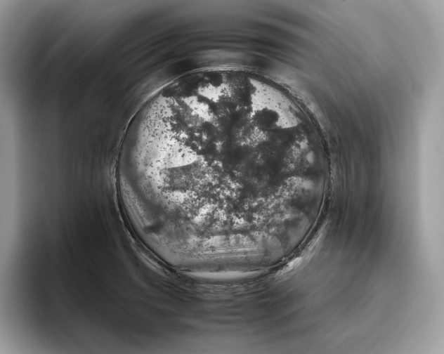 X0000095951425200802011052