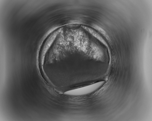 X0000095951427200802011052