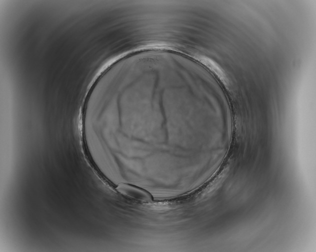 X0000095951428200802011052