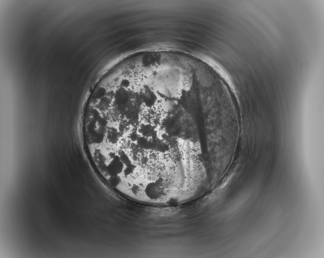 X0000095951429200802011052