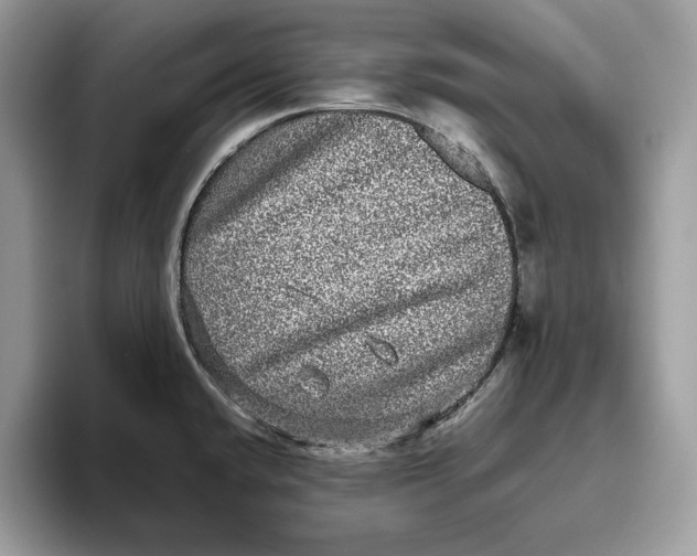 X0000095951432200802011053