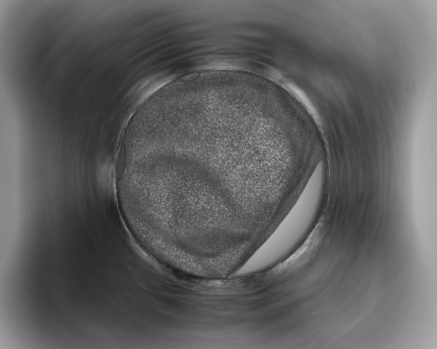 X0000095951433200802011053